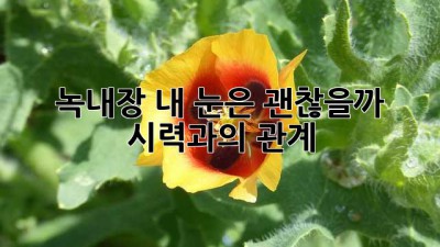 녹내장, 내 눈은 괜찮을까? 시력과의 관계