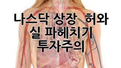 나스닥 상장? 🧐 허와 실 파헤치기! #투자주의 🚨