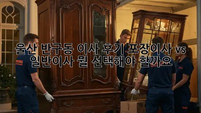 울산 반구동 이사 후기: 포장이사 vs 일반이사, 뭘 선택해야 할까요? 🤔